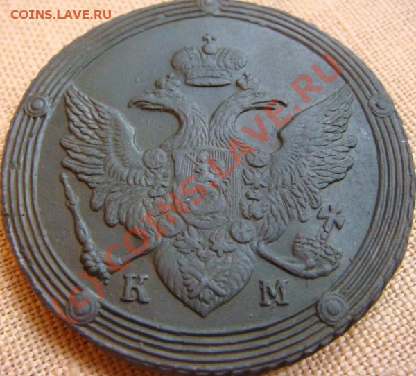 кольцевик на оценку. - DSC06621.JPG