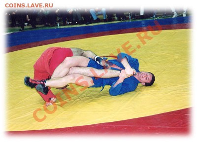 любимая группа-угадайка! - Sambo_Foto_1