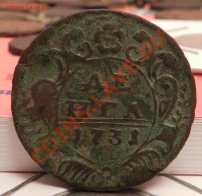 денга  1731  ( не чищен)  в коллекцию  до 10.02.2013 - DSCN6986.JPG