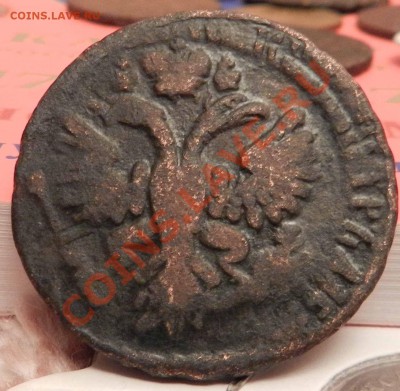 денга  1731  ( 4 лепестковый )  в коллекцию  до 10.02.2013 - DSCN7006.JPG