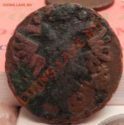 денга  1739  ( не чищен )  на чистку   до 10.02.2013 - DSCN7013.JPG