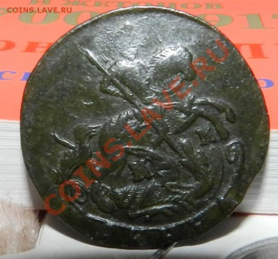 денга    1791   КМ  (волосатость)   предпродажная оценка - DSCN7019.JPG