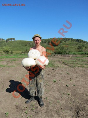 Кузбасский коп - IMG_0333.JPG