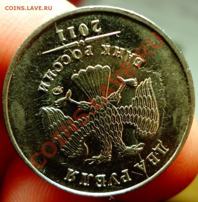 2р 2011г полный раскол + 2р мутные (может рукоблуд) - DSC02960.JPG