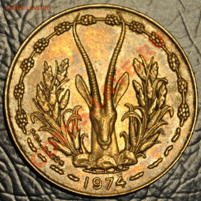 Западная Африка 10 франков 1974г.- "Антилопа"- до 13.02.2013 - DSC_1372.JPG