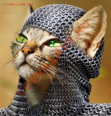 Добавить смайлик - кот-воин