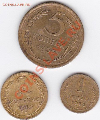 1956 (1;2;5 к ) до 15.02.13 - IMG