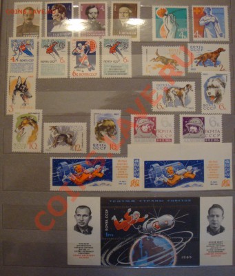 помогите оценить) - DSC07772.JPG