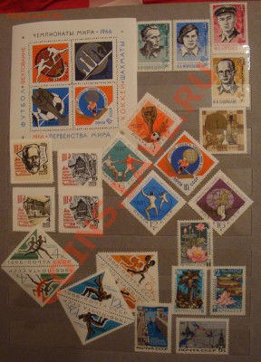помогите оценить) - DSC07782.JPG