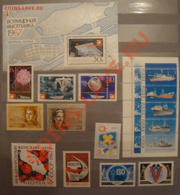 помогите оценить) - DSC07785.JPG