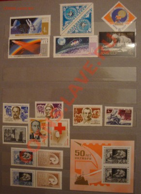 помогите оценить) - DSC07786.JPG