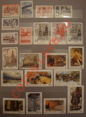 помогите оценить) - DSC07791.JPG