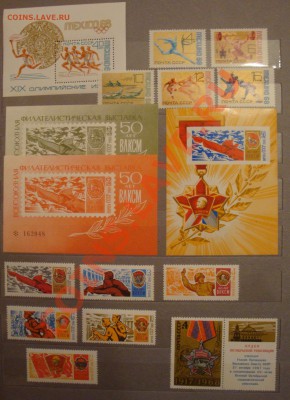 помогите оценить) - DSC07794.JPG
