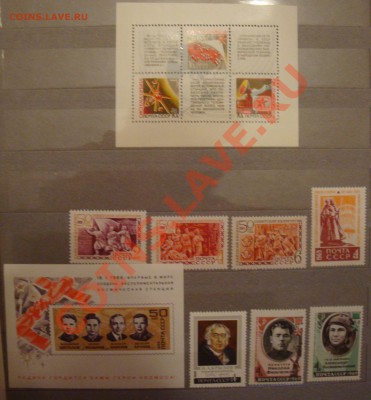 помогите оценить) - DSC07797.JPG