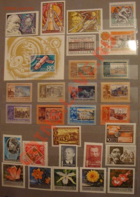 помогите оценить) - DSC07798.JPG