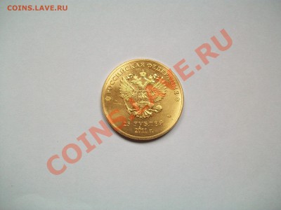 Сочи горы позолото, сегодня, до 11.02.13  23-00 - 102_2478.JPG