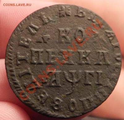 Петровская копейка  _ 1713 _  (клеймо Ц )  до 14.02.2012 - DSCN7072.JPG