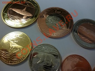 Набор Северный полюс РФ животные 15.02 - P1000889.JPG