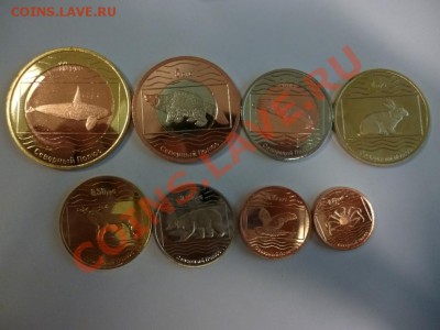 Набор Северный полюс РФ животные 15.02 - P1000888.JPG