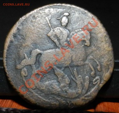 денга  1760    (желтая сухая) ---- (предпродажная  оценка) - DSCN7113.JPG