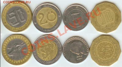 Алжир-4 монеты до 21.00 мск 18.02.2013 - Алжир
