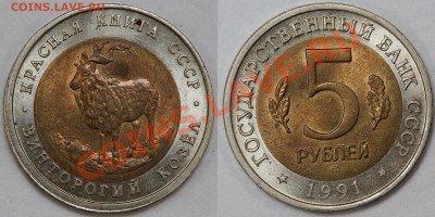 5р91 Филин + Козел брак до 15.02, 22.00 - 5-91с