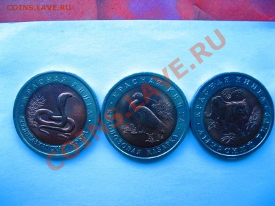 Красная Книга 91г.92г.93г. до 15.02.13 22-00 - IMG_3528.JPG