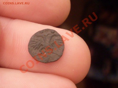 Полушка 1720 года - SDC11098.JPG