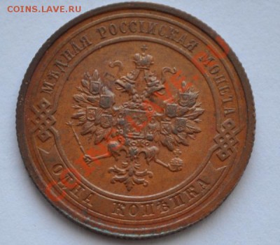 1 к 1915  кладовая - DSC_0718.JPG