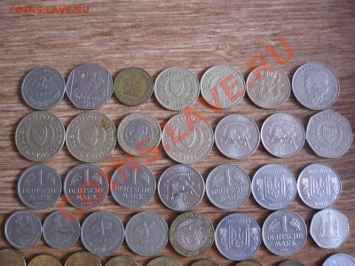 Кучка инострани на оценку. - IMG_2154.JPG