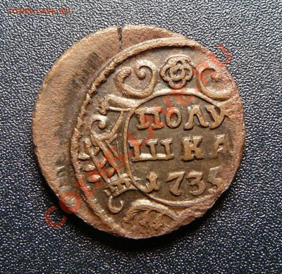 Полушка 1735 (брак). Оценка. - P1130613.JPG