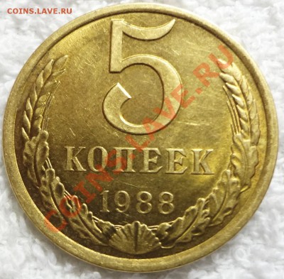 5 коп. 1988 г. брак заготовки красивый - DSC02997.JPG