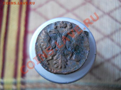 полушки1731.1735 2шт.1737год. - DSCN1850.JPG