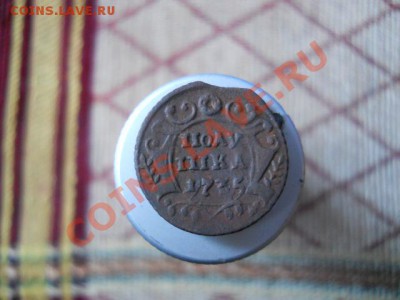 полушки1731.1735 2шт.1737год. - DSCN1851.JPG