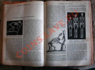 народная энциклопедия и другия книги начала века - DSC08234