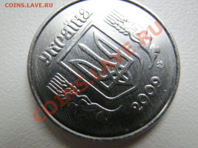делает - прямо сейчас !!! - IMG_0923