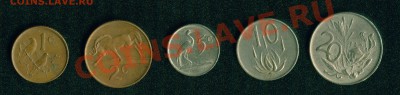 Южная Африка до 22:00мск 18.02.13 - юар1
