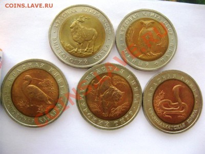 Красная Книга 1991г. и 1992г. до 20.02.13 (22.00) - IMG_3537.JPG
