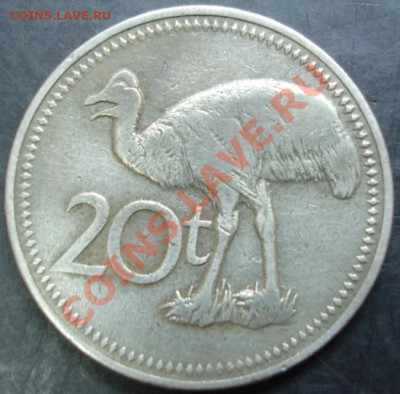 20 тойя 1996 года(Папуа-Новая Гвинея) до 22-00 21.02.13года - DSC00017.JPG