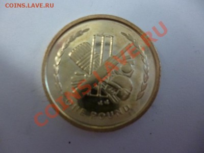 Остров Мэн 1 фунт бейсбол 21.02 - P1000904.JPG