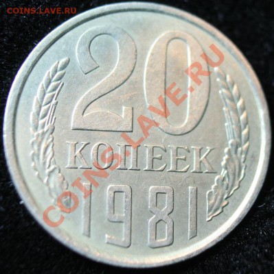 20 коп 1981г Лысая до 24.02.2013 до 22-00 мск - 20-81р