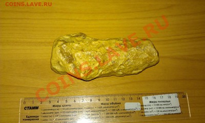 неизвестная мне окаменелость - IMAG1037