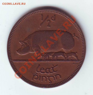 Ирландия.Пол пенни.1953.Свинья. до 25.02.12 в 22.00 МСК - 1953 с.JPG