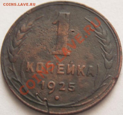 1коп. 1925г. трупик, оценка - P1200731.JPG