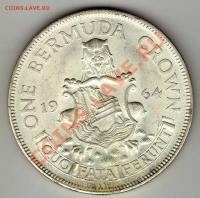 Ag Бермуды крона 1964 до 25.02.13 в 22.00мск (4483) - img221
