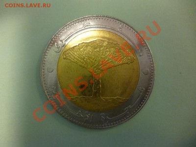 Кто, что думает? Про биметалл 2010...2011 г. - P1010936.JPG