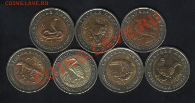 Красная книга 92и93 (без медведя) до 22.02.13 в 22:00-с 200р - кркн2