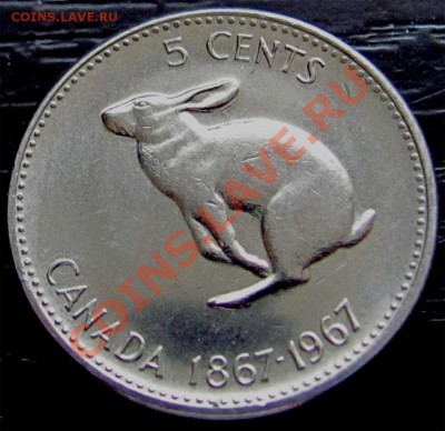 W82 Канада 5¢ 1967 Кролик до 25.02 в 22°° - W82 5C 1967_1
