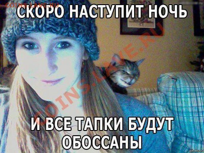юмор - getImage (6)