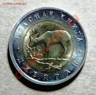 Джейран 50 рублей 1994 год. С РУБЛЯ!!! ШАНС!старт 1 р.27.02 - P2180004.JPG